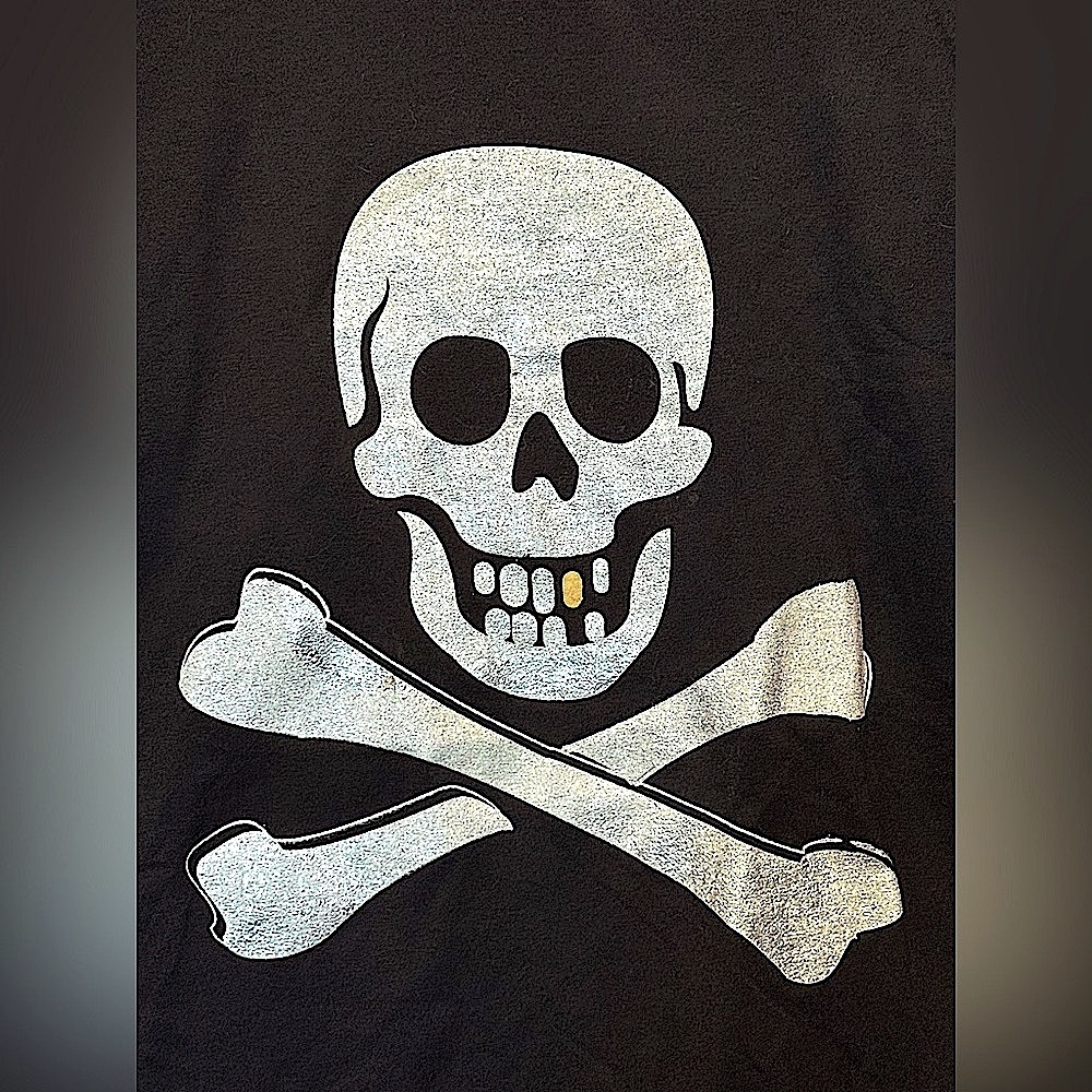 NEW Branded Bones T-shirt Black Cotton • Silver Skull & Crossbones